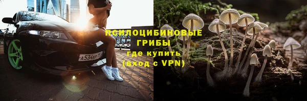 хмурый Мегион