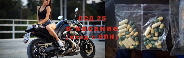 хмурый Мегион