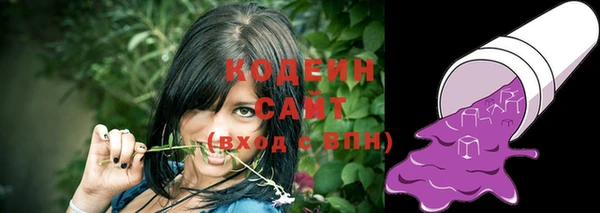 хмурый Мегион