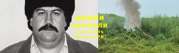 хмурый Мегион