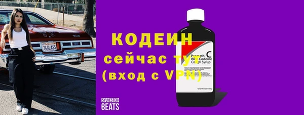 хмурый Мегион