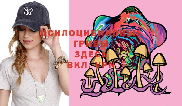 герыч Медвежьегорск