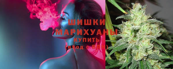 хмурый Мегион
