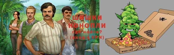 хмурый Мегион