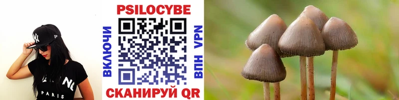 МЕГА ссылка  наркота  Сычёвка  Галлюциногенные грибы Psilocybine cubensis 